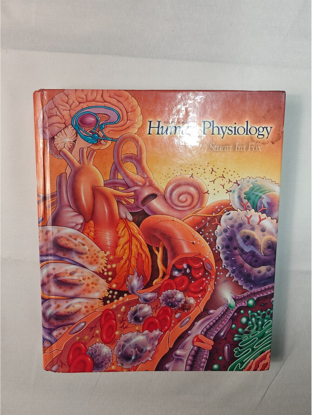 human physiology stuart ira fox 6th edition textbook